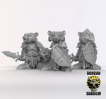 Racoon Folk Knights Resin Models for Dungeons & Dragons & Board RPGs