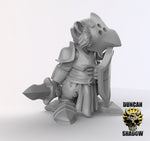 Racoon Folk Knights Resin Models for Dungeons & Dragons & Board RPGs
