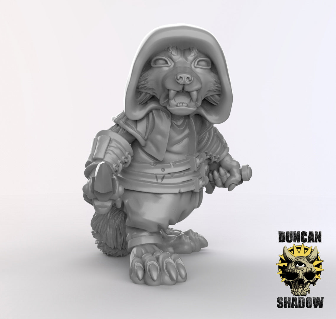 Racoon Folk Rogues Resin Models for Dungeons & Dragons & Board RPGs