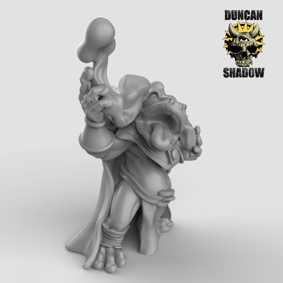 Boggard Sorcerer Resin 3D Models for Dungeons & Dragons & Board RPGs