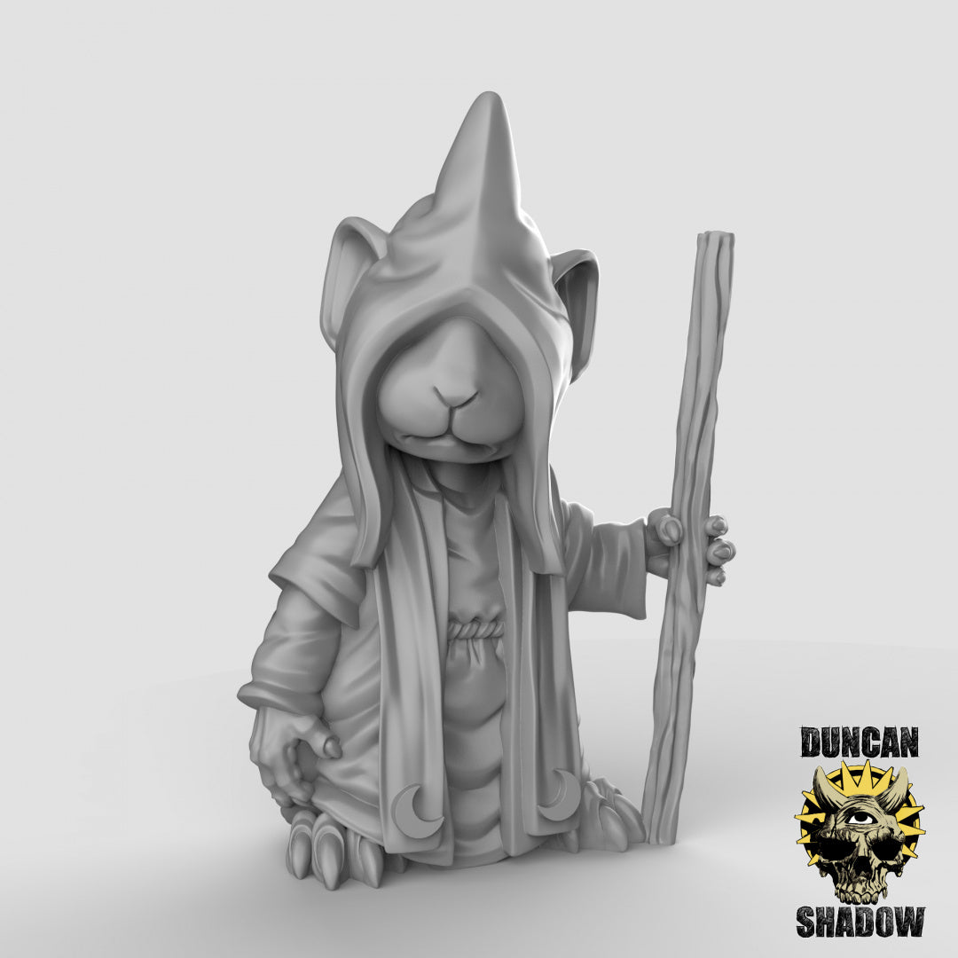 Mousle Cultist Command Resin 3D Models for Dungeons & Dragons & Board RPGs