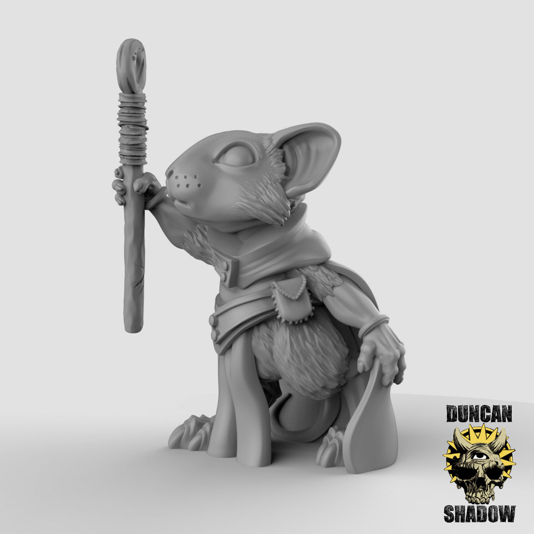 Mousle Sorcerers Resin 3D Models for Dungeons & Dragons & Board RPGs