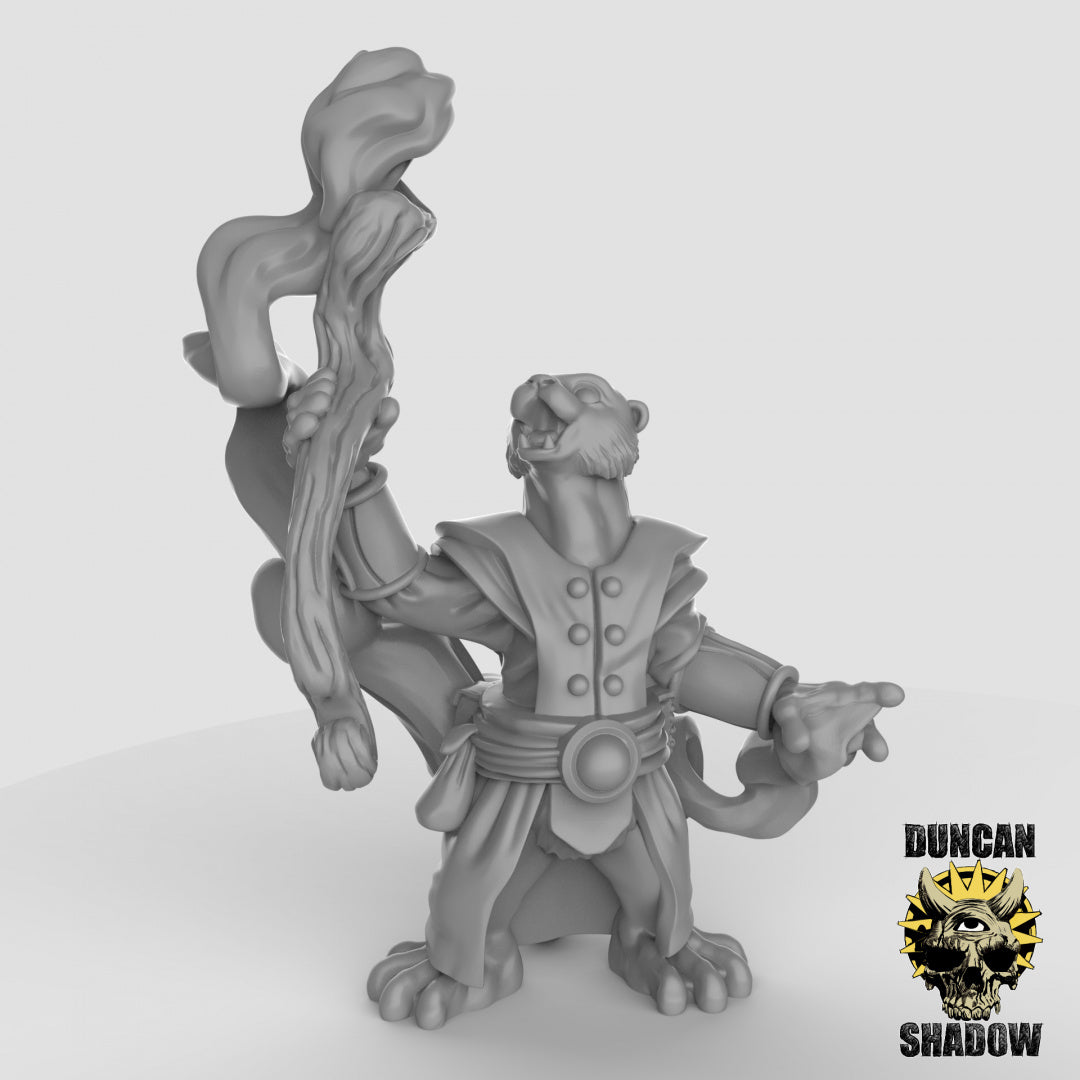 Otter Spellcasters Resin 3D Models for Dungeons & Dragons & Board RPGs