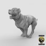 Dogs Resin Models for Dungeons & Dragons & Board RPGs