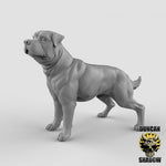 Dogs Resin Models for Dungeons & Dragons & Board RPGs