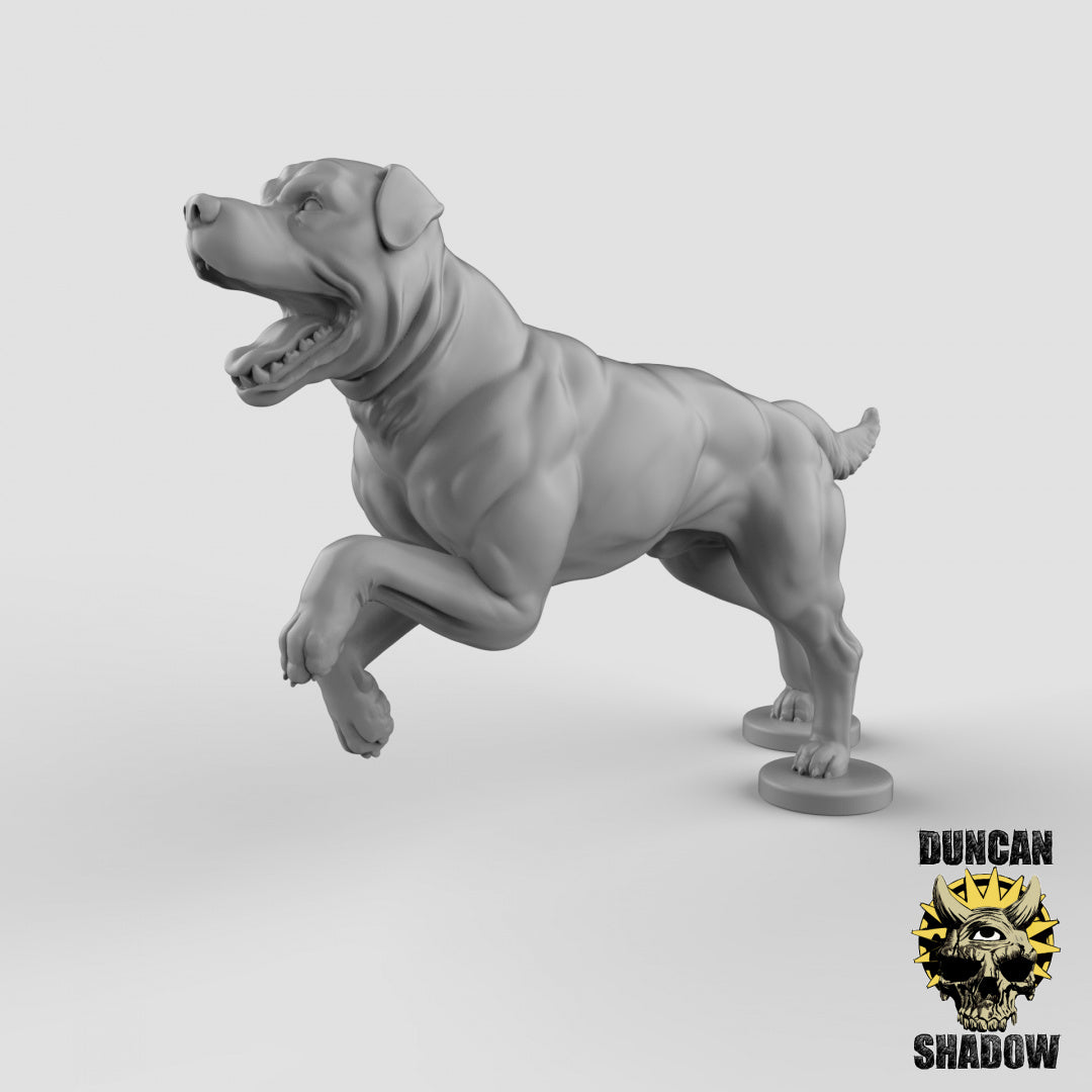 Dogs Resin Models for Dungeons & Dragons & Board RPGs
