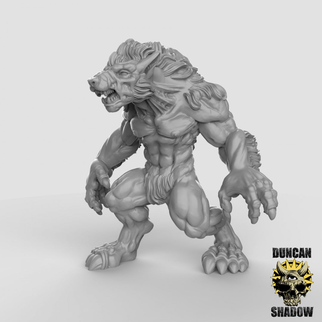 Werewolves Resin Miniature for DnD | Tabletop Gaming