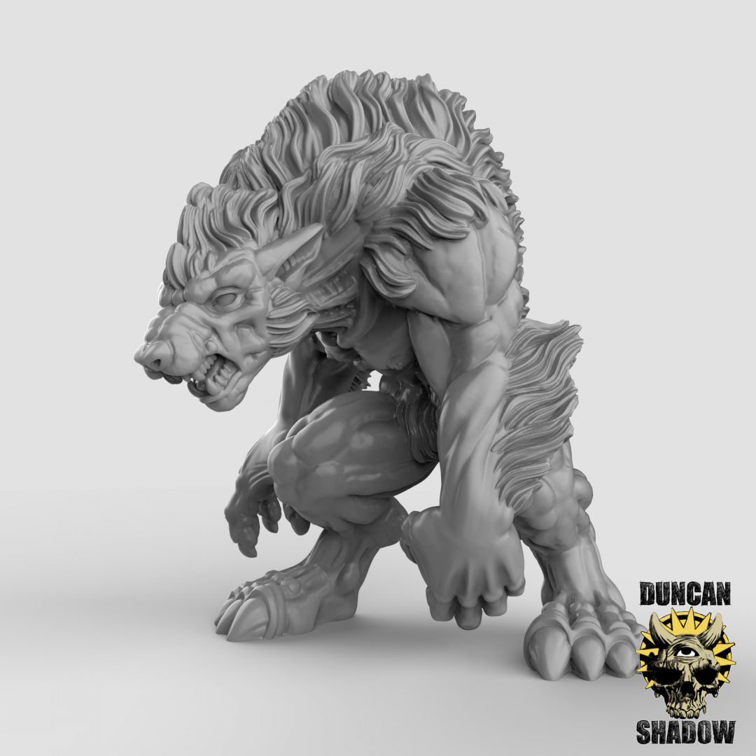 Werewolves Resin Miniature for DnD | Tabletop Gaming