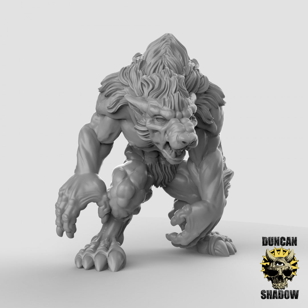 Werewolves Resin Miniature for DnD | Tabletop Gaming