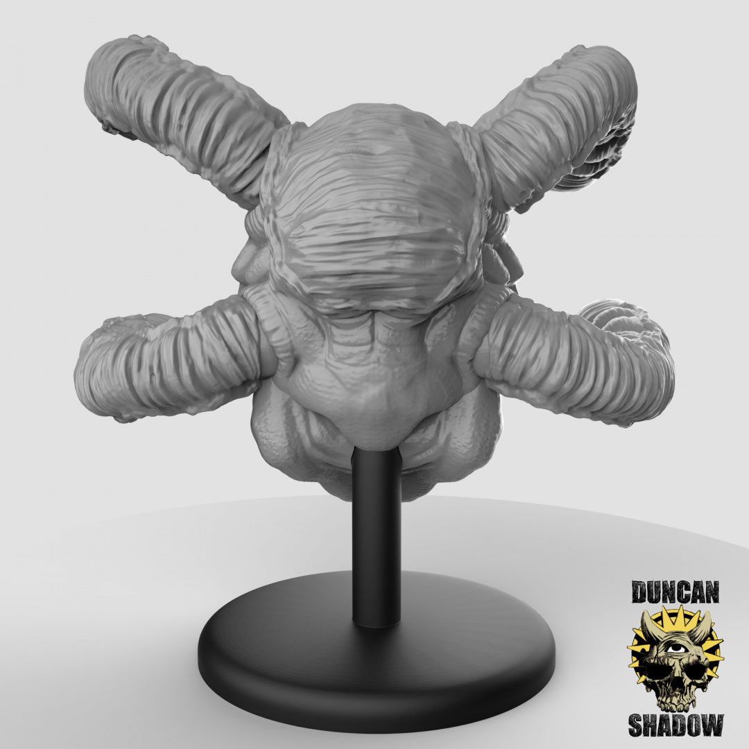 Eye Observer Resin 3D Models for Dungeons & Dragons & Board RPGs
