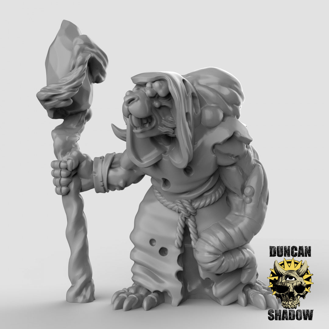 Plague Priests Resin 3D Models for Dungeons & Dragons & Board RPGs