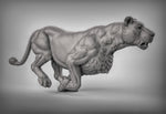 Lions Resin 3D Models for Dungeons & Dragons & Board RPGs
