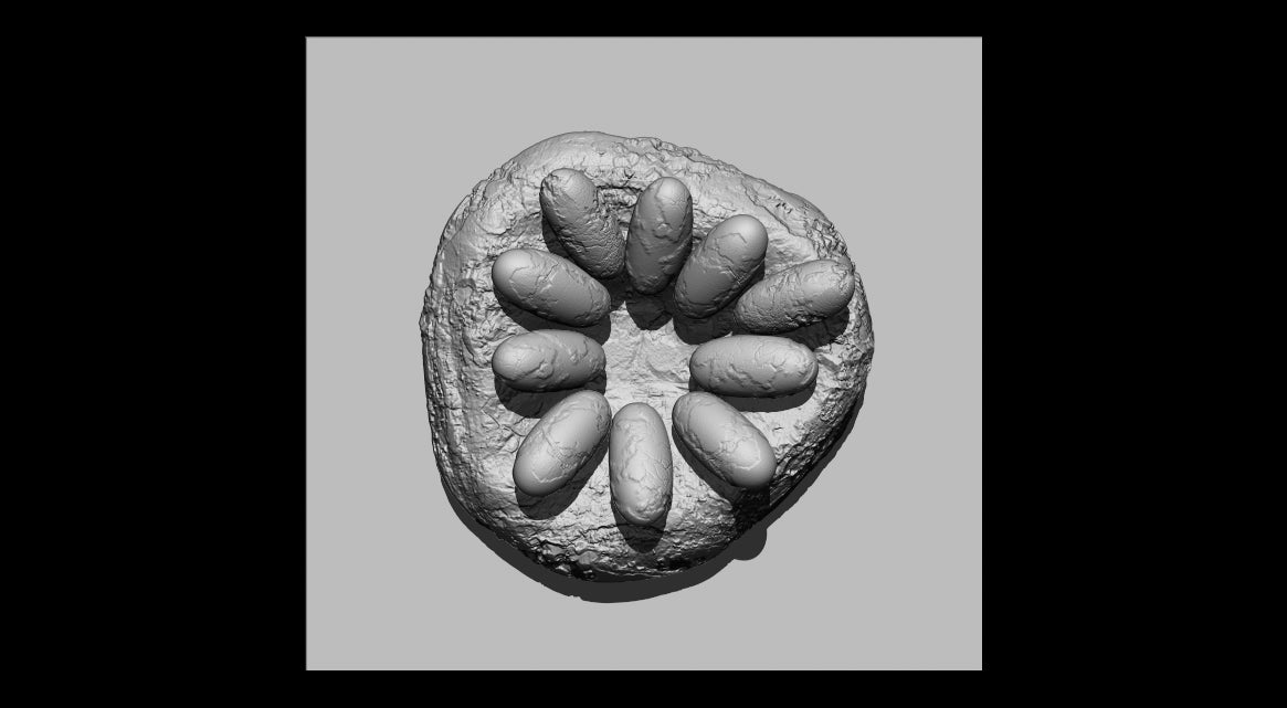 Dinosaur Nest With 10 Eggs Resin Model for Dungeons & Dragons | Board RPGs I Pre-Historic