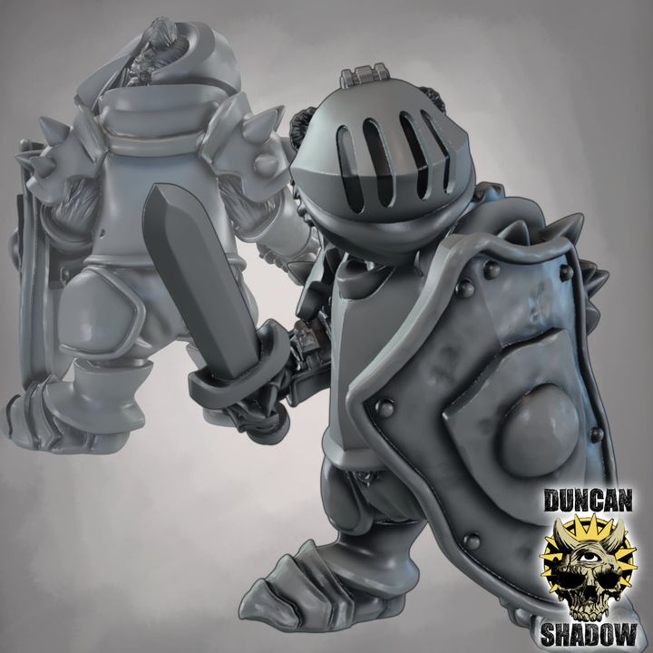 Badger Folk Knights with Swords and Shields - Image 5