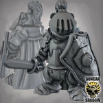 Badger Folk Knights with Swords and Shields - Image 6