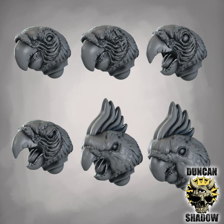 Parrot Heads - Image 1