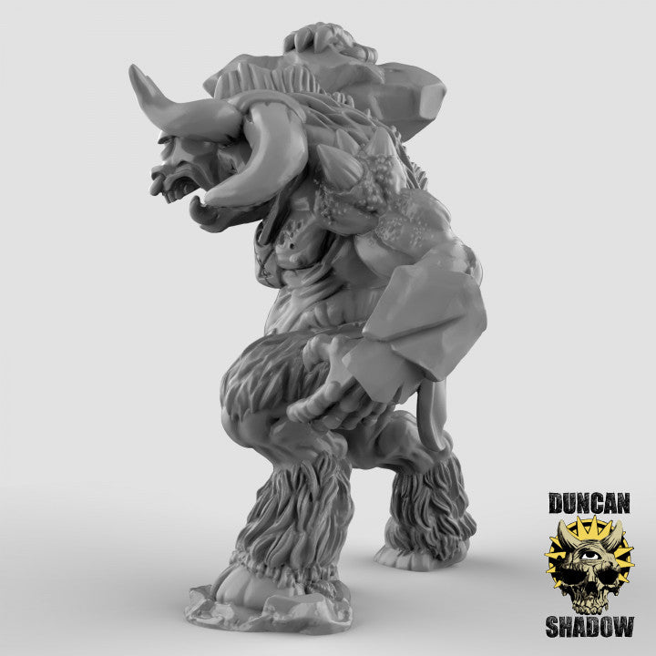 15mm Cygor - Image 5