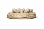 Dinosaur nest with eggs 3