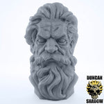 Old Man Bust - Display Bust | 1:4 Scale (~70mm)
