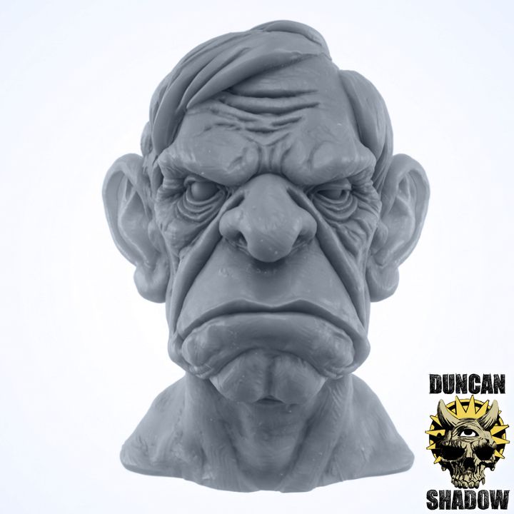 Older Male Bust - Display Bust | 1:4 Scale (~70mm)