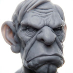 Older Male Bust - Display Bust | 1:4 Scale (~70mm)