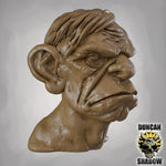Older Male Bust - Display Bust | 1:4 Scale (~70mm)