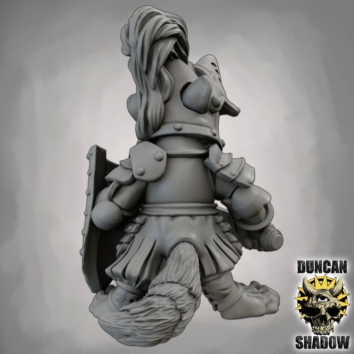 Raccoon Folk Champion with Sword and Shield | DnD Miniature | 28mm