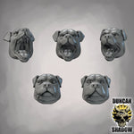 Rottweiler head set - Resin Mini | DnD & Tabletop | 28mm