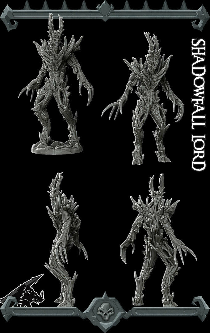 SHADOWFALL LORD - Miniature | All Sizes | Dungeons and Dragons | Pathfinder | War Gaming