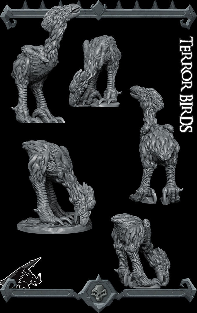 TERROR BIRDS - Miniature -All Sizes | Dungeons and Dragons | Pathfinder | War Gaming