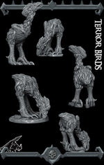 TERROR BIRDS - Miniature -All Sizes | Dungeons and Dragons | Pathfinder | War Gaming