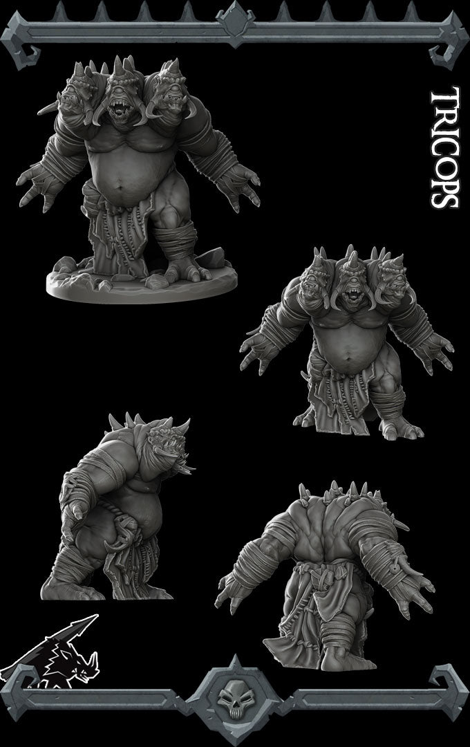 TRICLOPS - Miniature | All Sizes | Dungeons and Dragons | Pathfinder | War Gaming