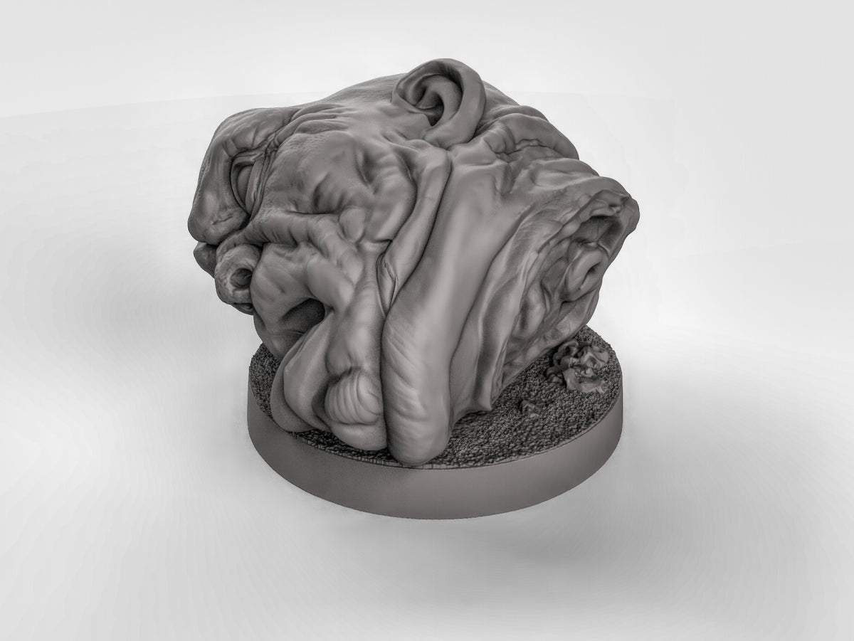 Giant Head Base Resin Models for Dungeons & Dragons & Board RPGs