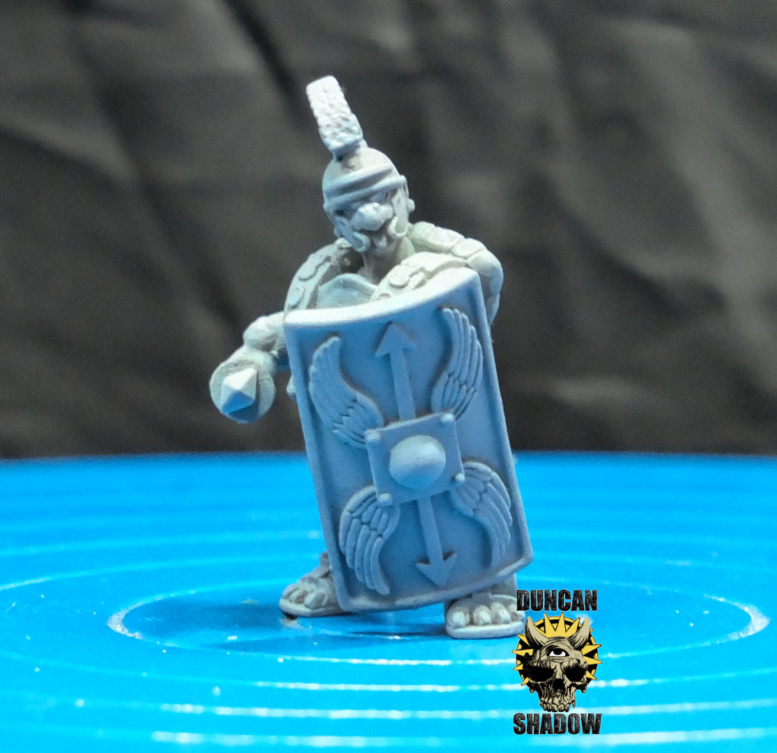 Tortol Fighters Resin Models for Dungeons & Dragons & Board RPGs