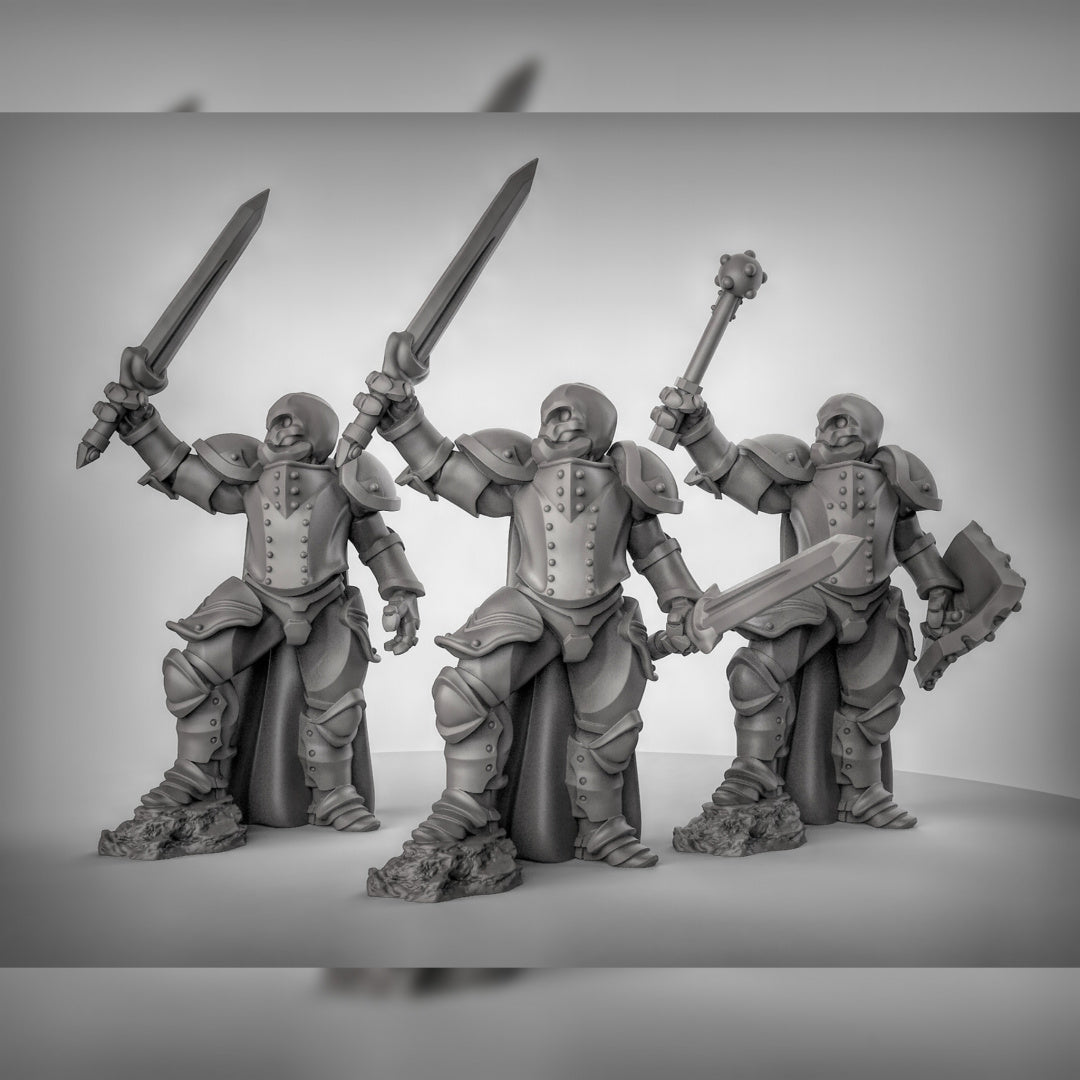 Warforged Fighters 2 Resin Miniature for DnD | Tabletop Gaming