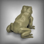 Giant Frogs Resin 3D Models for Dungeons & Dragons & Board RPGs
