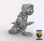 Racoon Folk Rogues Resin Models for Dungeons & Dragons & Board RPGs