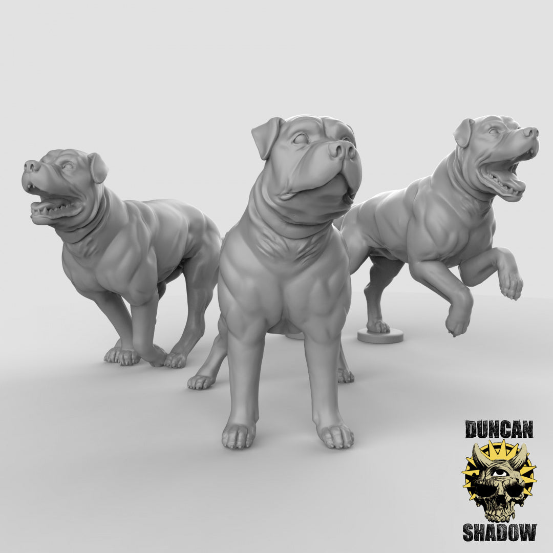 Dogs Resin Models for Dungeons & Dragons & Board RPGs