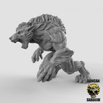 Werewolves Resin Miniature for DnD | Tabletop Gaming