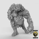Orc Nurtured ones Resin Miniature for DnD | Tabletop Gaming