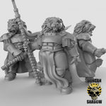 Lion Knights Resin Models for Dungeons & Dragons & Board RPGs