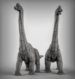 Brachiosaurus Dinosaur Resin Models for Dungeons & Dragons | Board RPGs